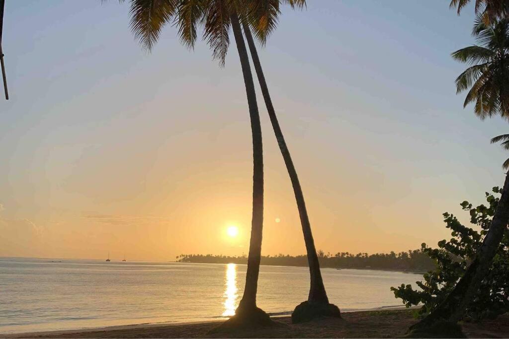 Ballenas Beach C6 Las Terrenas Exterior photo